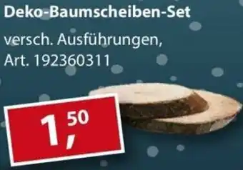 Sonderpreis Baumarkt Deko-Baumscheiben-Set Angebot