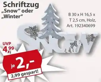 Sonderpreis Baumarkt Schriftzug ,,Snow" oder Winter Angebot
