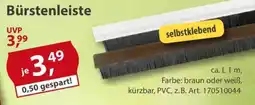Sonderpreis Baumarkt Bürstenleiste Angebot