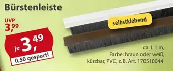 Sonderpreis Baumarkt Bürstenleiste Angebot