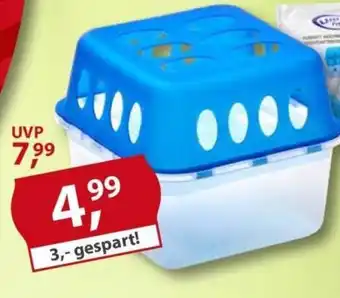 Sonderpreis Baumarkt Luftentfeuch- ter-Box Angebot