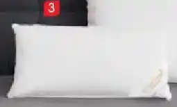 Zurbrüggen SPESSART TRAUM Kammerkissen Premium Angebot