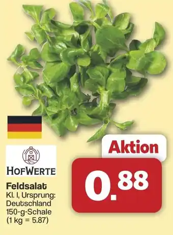 Famila Nord West HOFWERTE Feldsalat Angebot
