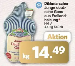 Famila Nord West Dithmarscher Junge deut- sche Gans aus Freiland- haltung Angebot