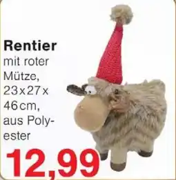 Jawoll Rentier Angebot