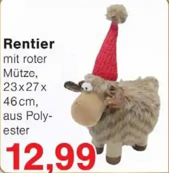 Jawoll Rentier Angebot