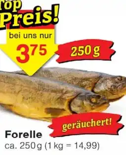 Jawoll Forelle Angebot