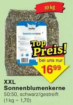 Jawoll XXL Sonnenblumenkerne Angebot