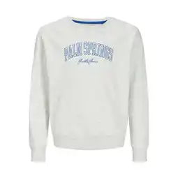 Netto Marken-Discount Jack & Jones Junior Pullover DETROIT Sweatshirt Angebot