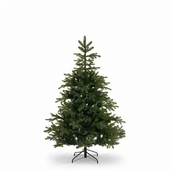 toom Baumarkt toom Künstlicher Weihnachtsbaum 'Fernie' dunkelgrün 155 cm Angebot