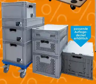 Globus Baumarkt System-Stapelboxen und Körbe Angebot