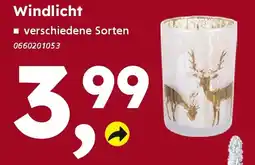 Globus Baumarkt Windlicht Angebot