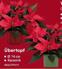 Globus Baumarkt Übertopf Angebot