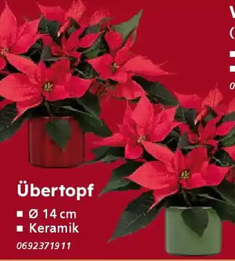 Globus Baumarkt Übertopf Angebot