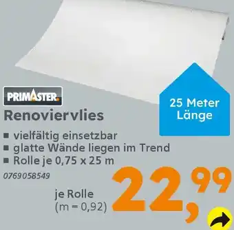 Globus Baumarkt PRIMASTER Renoviervlies Angebot