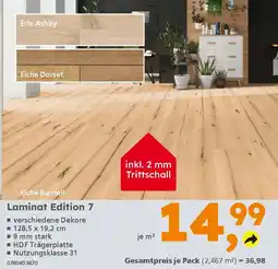Globus Baumarkt Laminat Edition 7 Angebot