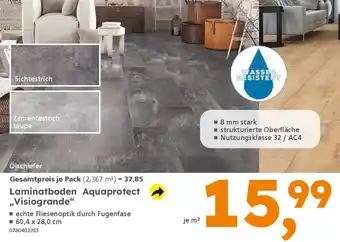 Globus Baumarkt Laminatboden Aquaprotect „Visiogrande" Angebot