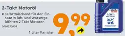 Globus Baumarkt LIQUI MOLY 2-Takt Motoröl Angebot