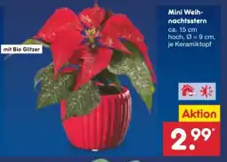 Netto Marken-Discount Mini-Weihnachtssterne Angebot