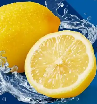 Lidl Bio-Zitronen Angebot