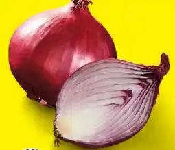 Lidl Zwiebeln Angebot