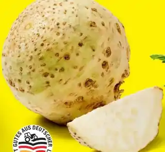 Lidl Knollensellerie Angebot