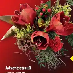 Lidl Adventsstrauß Angebot