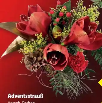 Lidl Adventsstrauß Angebot