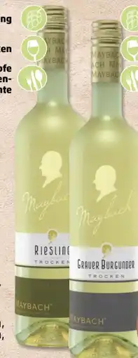 PENNY Maybach Riesling Angebot