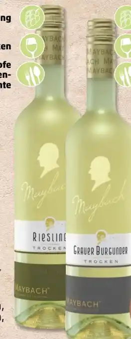 PENNY Maybach Riesling Angebot