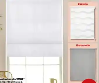 PENNY Fenster-Duorollo Welle Angebot