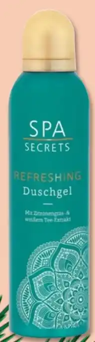 PENNY Spa Secrets Refreshing Duschgel Angebot