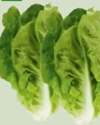 Edeka Xpress Bio Mini Romanasalat Angebot