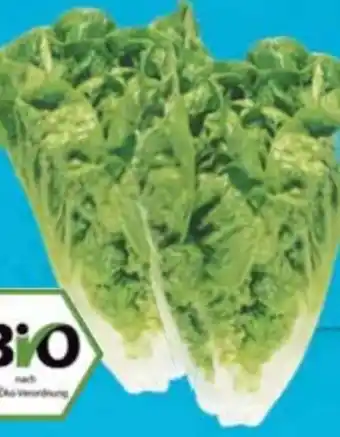 E-Center Bio Mini Romanasalat Angebot