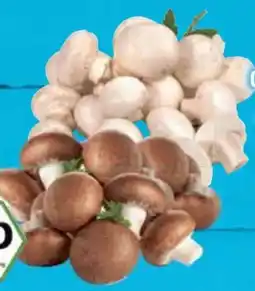 E-Center Bio-Champignons Angebot