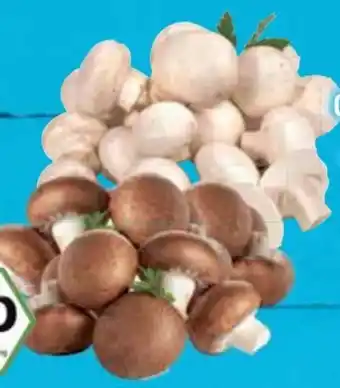 E-Center Bio-Champignons Angebot