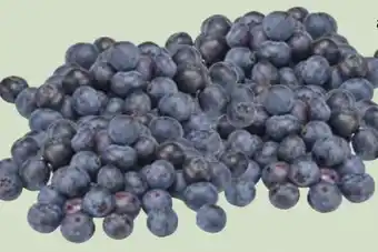 Edeka Xpress Heidelbeeren Angebot