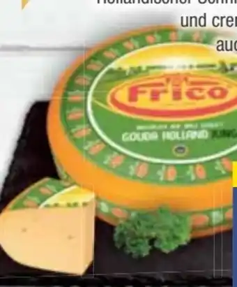 E-Center Frico Gouda Jung Angebot