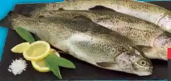 E-Center Forellen Angebot