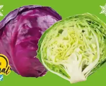 Edeka Weißkraut Angebot