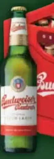 E-Center Budweiser Budvar (CZ) Premium Lager Angebot