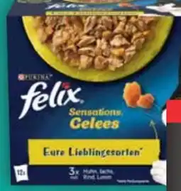 E-Center Purina Felix Katzennahrung Angebot