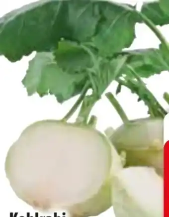 Edeka Kohlrabi Angebot