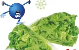 Edeka Bio-Mini-Romanasalat Angebot