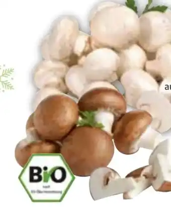 Edeka Bio-Champignons Angebot