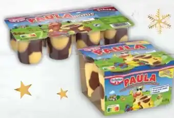 E-Center Dr. Oetker Paula Pudding-Minis Angebot