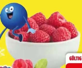 Edeka Driscoll's Himbeeren Angebot