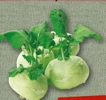 nahkauf Kohlrabi Angebot