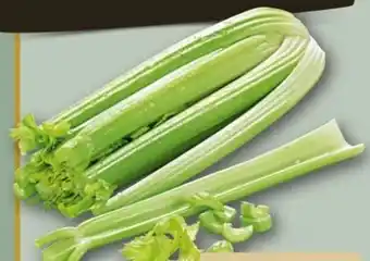 REWE Center Staudensellerie Angebot