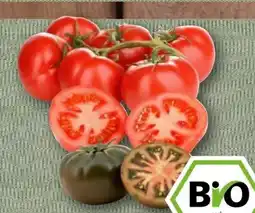 nahkauf Rewe Bio Rispentomaten Genuss-Mix Angebot